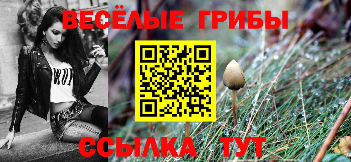 Галлюциногенные грибы ЛСД Кудрово